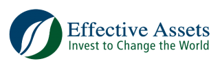 Effective Assets Logo